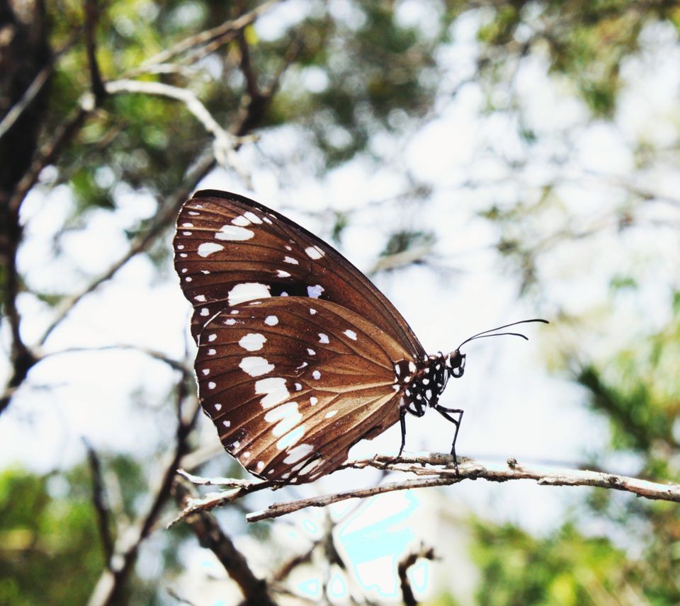 Photo of Varsity Lakes QLD, Australia by Mahima Dharani
