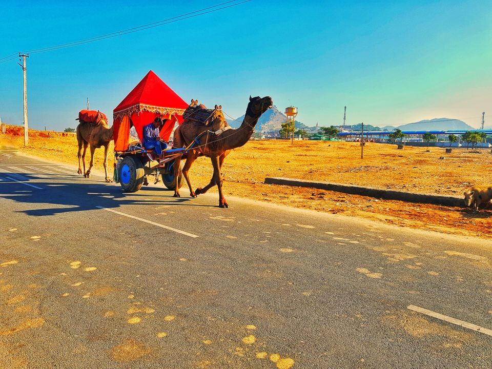 Photo of Ek Solo Traveller ki Atma katha - Part 2 by Pratik Hegde