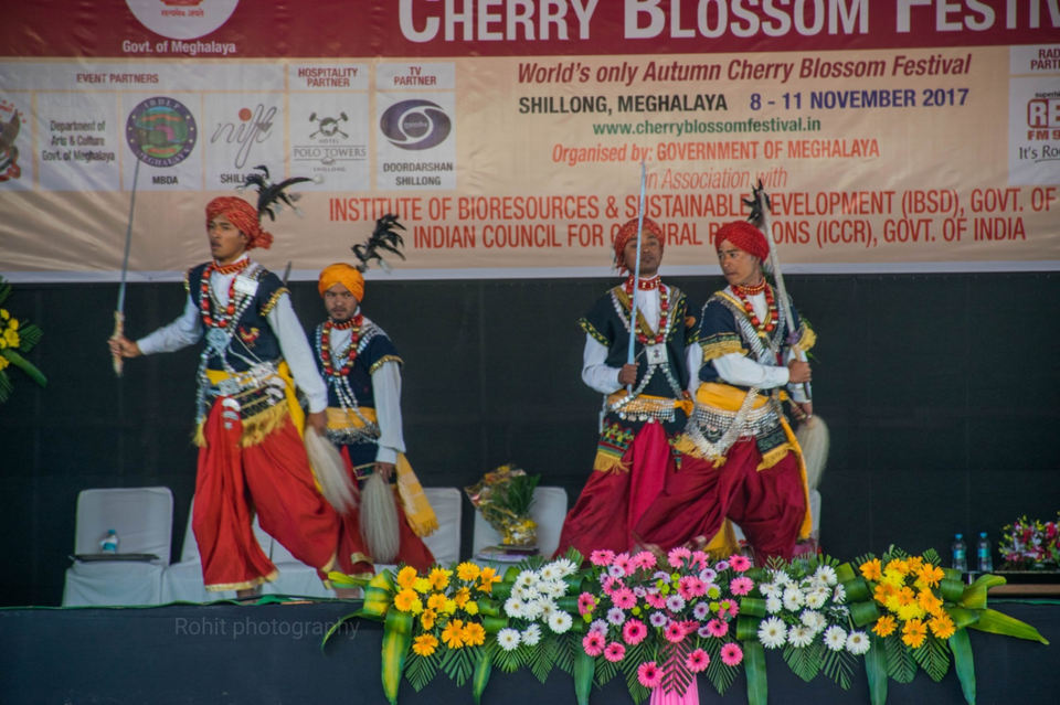 Photo of Every November in Shillong the Valleys come to life with Cherry blossoms. 8/11 by Rohit Kumar Gupta
