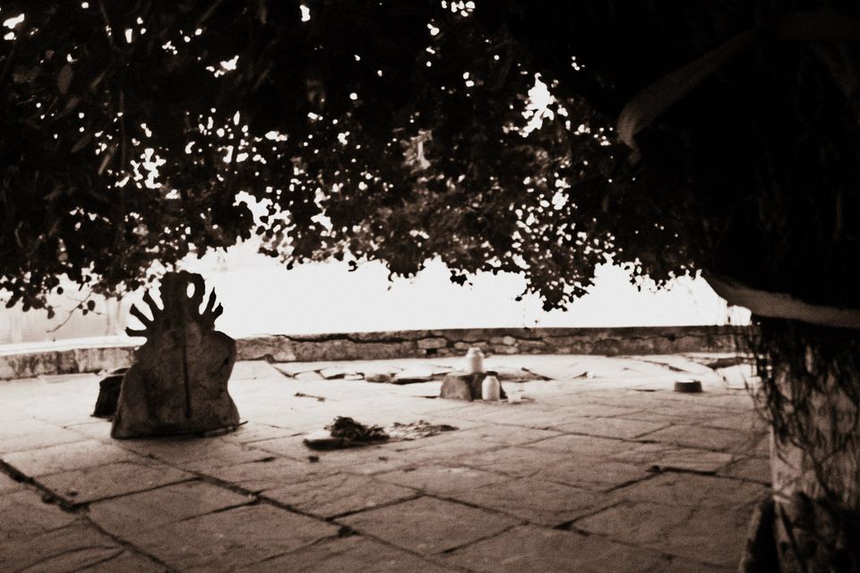 Photo of The Sands of Pushkar by karan kapil