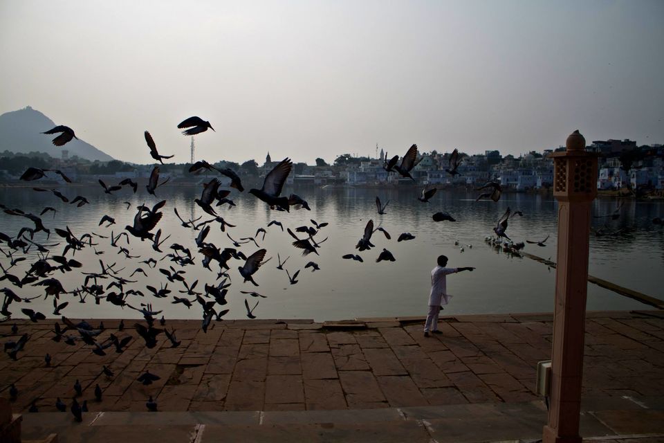 Photo of The Sands of Pushkar by karan kapil