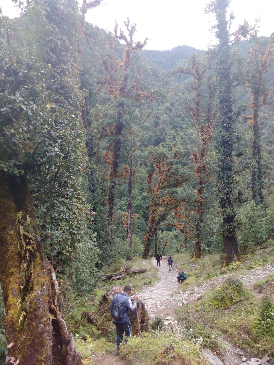 Photo of The Cult Of Roopkund 6/7 by karan kapil
