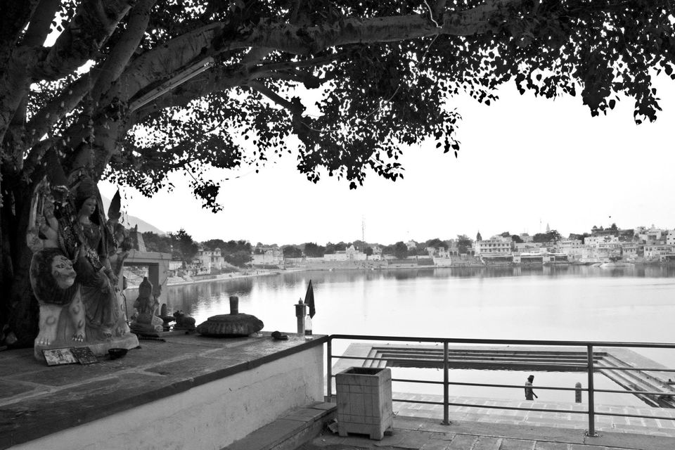 Photo of The Sands of Pushkar by karan kapil