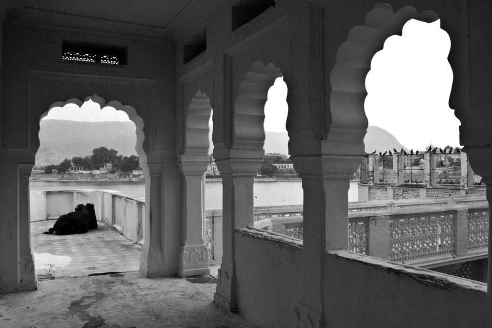 Photo of The Sands of Pushkar by karan kapil