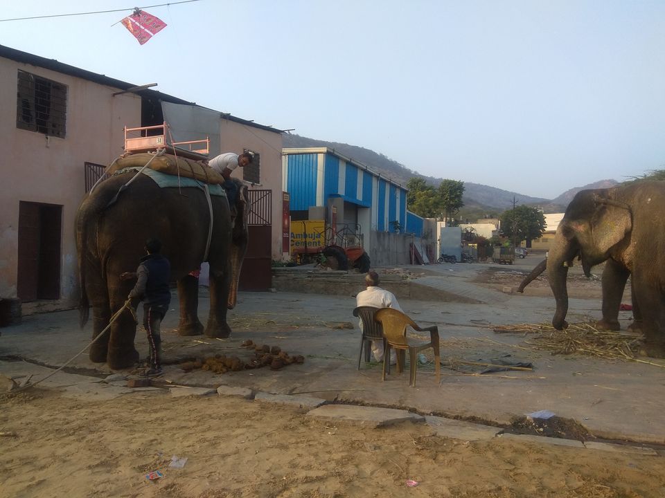 Photo of Jai ho Jaipur just before the #Lockdown by Kshitij Mehta