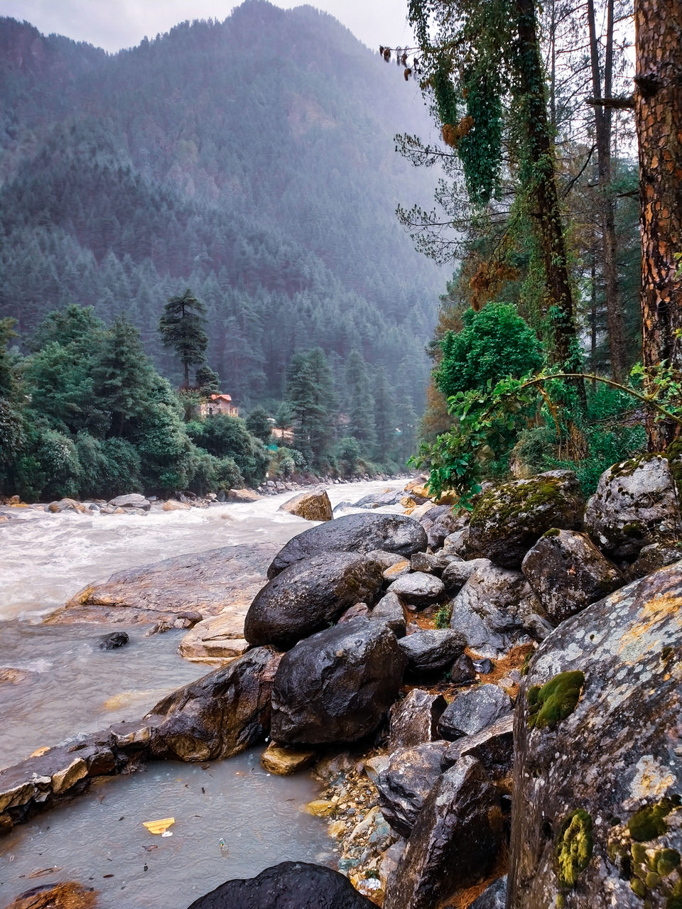 Photo of Chalal Trek Trail, Kullu, Himachal Pradesh, India by Kunal Rawat