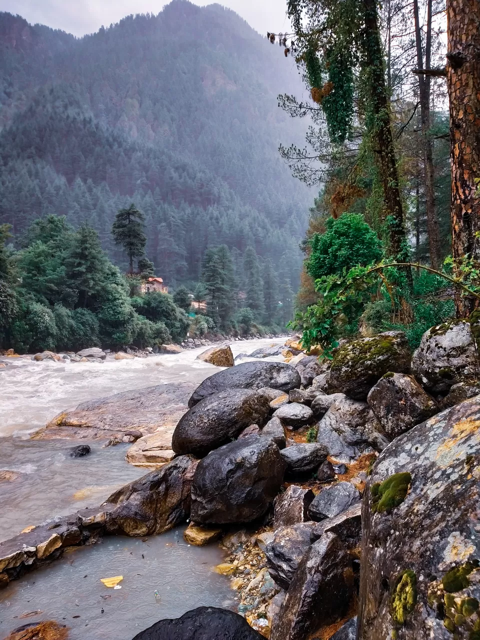 Photo of Chalal Trek Trail, Kullu, Himachal Pradesh, India by Kunal Rawat