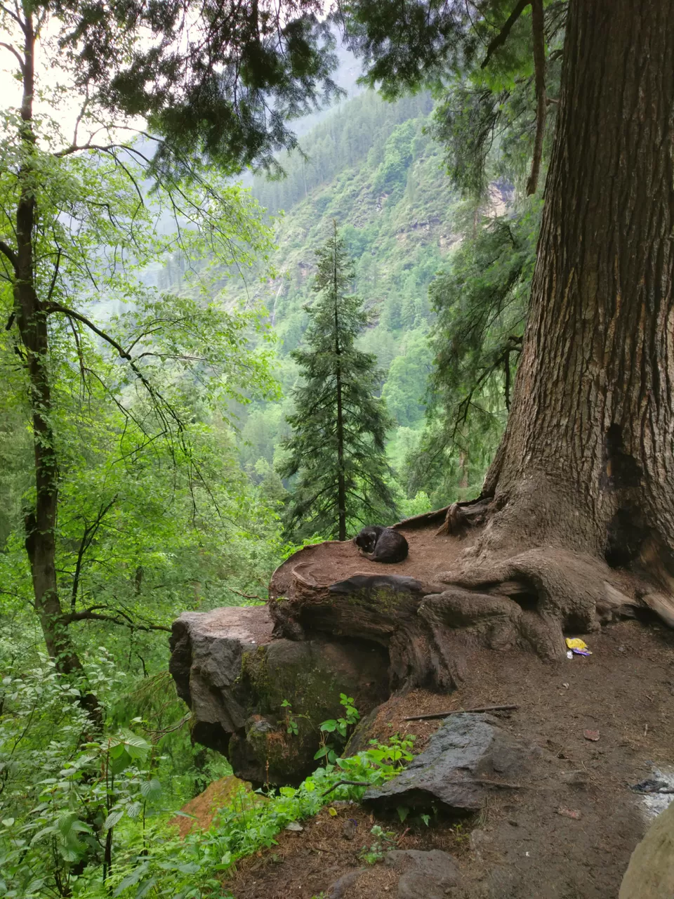 Photo of The mountains came calling and the pahadi in me had to go - A beachbum's journey to Parvati valley by Kunal Rawat