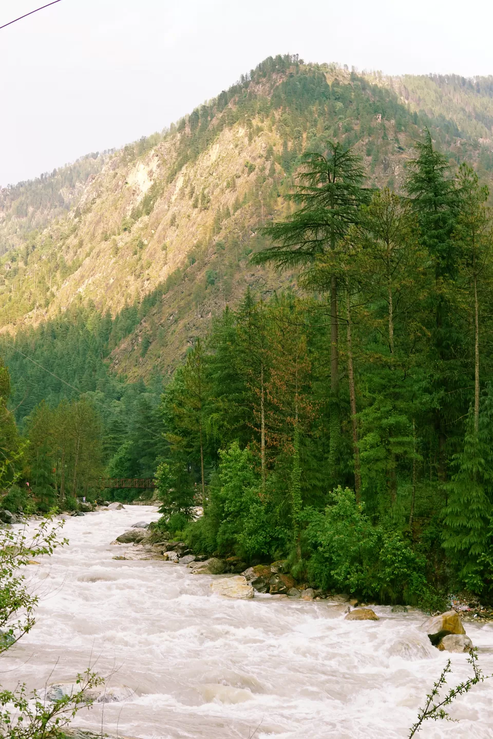 Photo of The mountains came calling and the pahadi in me had to go - A beachbum's journey to Parvati valley by Kunal Rawat