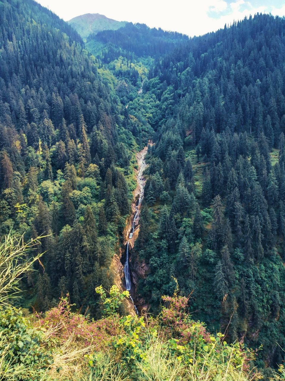 Photo of The mountains came calling and the pahadi in me had to go - A beachbum's journey to Parvati valley by Kunal Rawat