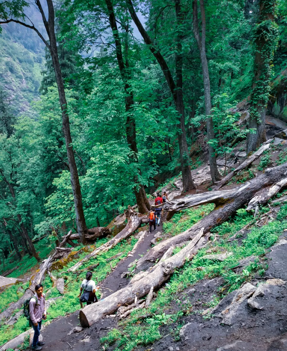 Photo of Kheerganga Trek, Khir Ganga, Himachal Pradesh, India by Kunal Rawat