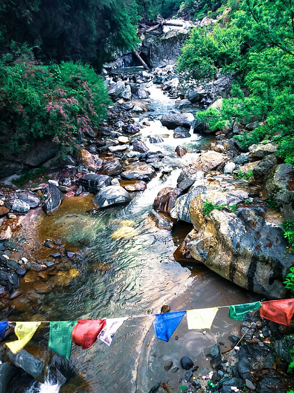 Photo of The mountains came calling and the pahadi in me had to go - A beachbum's journey to Parvati valley by Kunal Rawat
