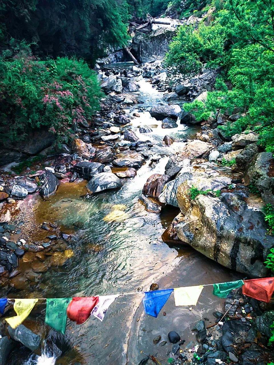 Photo of The mountains came calling and the pahadi in me had to go - A beachbum's journey to Parvati valley by Kunal Rawat