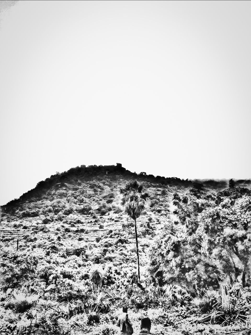 Photo of Ramagiri Fort by RoHiThChInnA