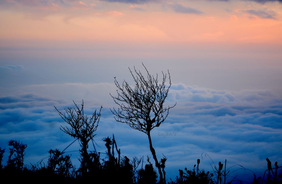 Photo of Tonglu, Land of rising Sleeping Buddha by Sujan Dey