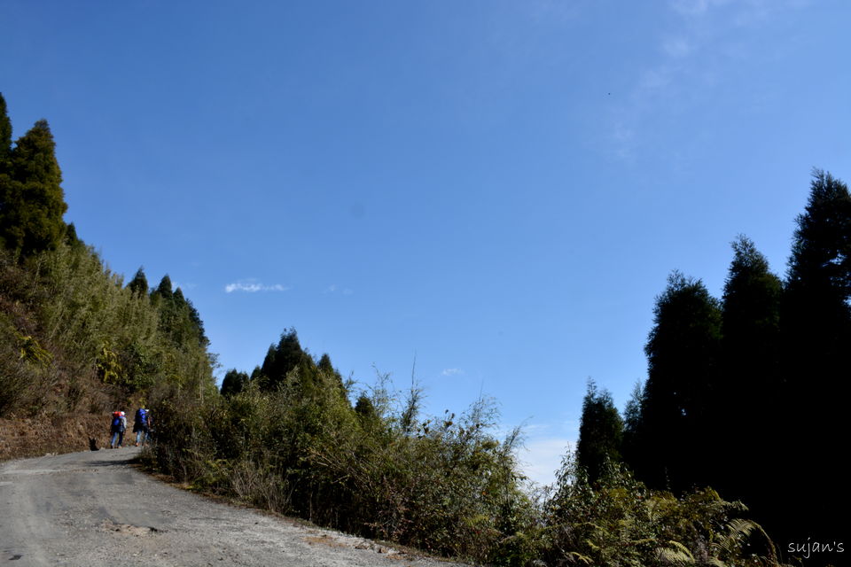Photo of Tonglu, Land of rising Sleeping Buddha by Sujan Dey