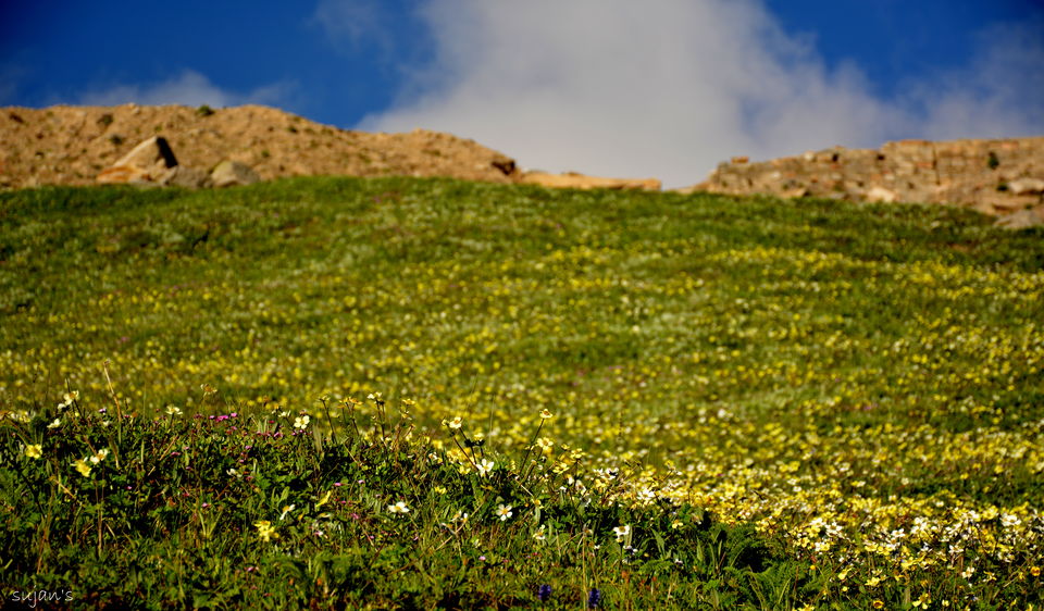 Photo of Ladakh: Little Tibet nd it's mystic landscapes 6/56 by Sujan Dey