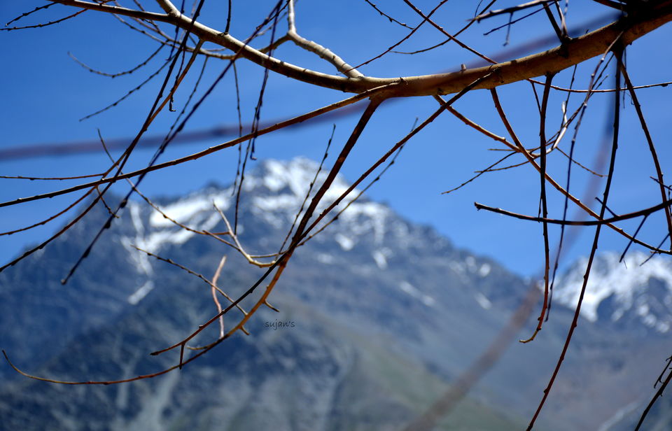 Photo of Ladakh: Little Tibet nd it's mystic landscapes 11/56 by Sujan Dey