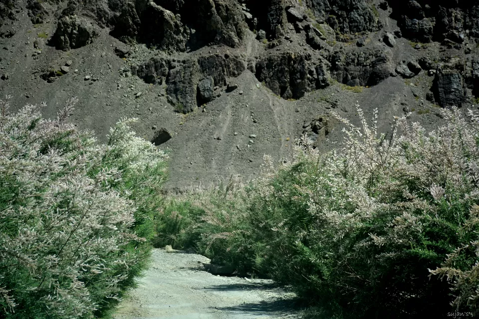 Photo of Tso Moriri by Sujan Dey
