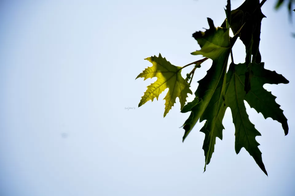 Photo of Tso Moriri by Sujan Dey