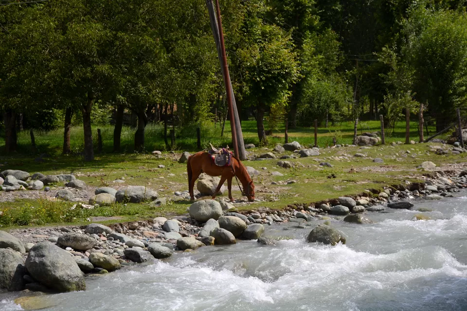 Photo of Chandanwari, Pahalgam by Sujan Dey
