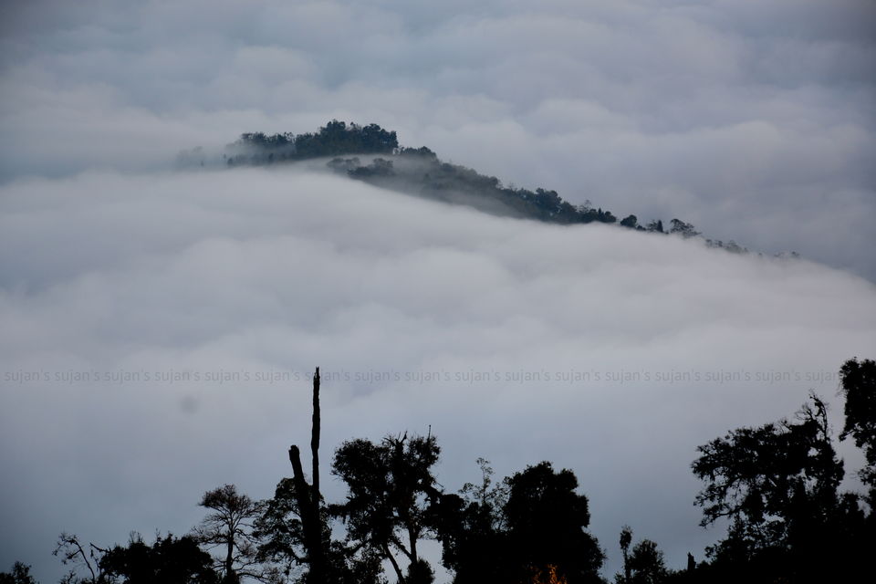 Photo of Rishyap, Rishop, West Bengal, India by Sujan Dey