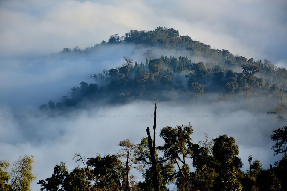 Photo of Rishyap, Rishop, West Bengal, India by Sujan Dey
