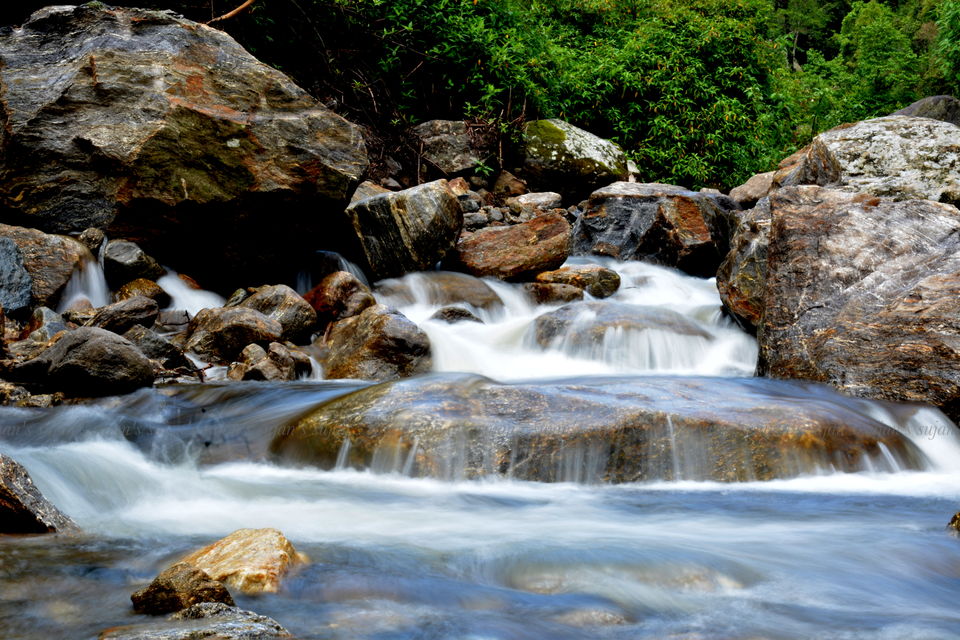 Photo of Sirikhola: Steps to nature 2/8 by Sujan Dey