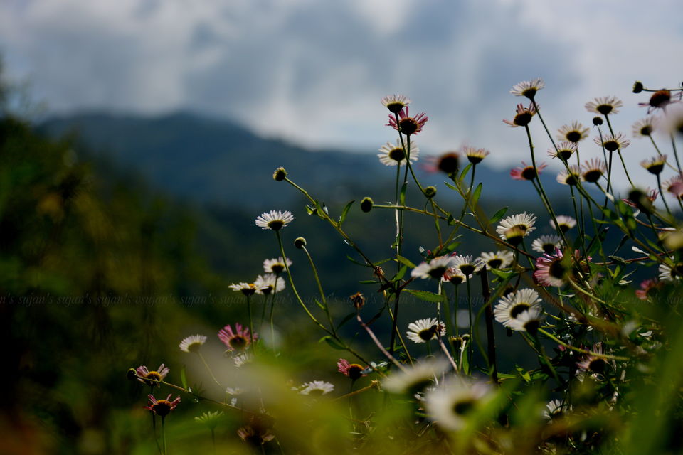 Photo of Sirikhola: Steps to nature 3/8 by Sujan Dey
