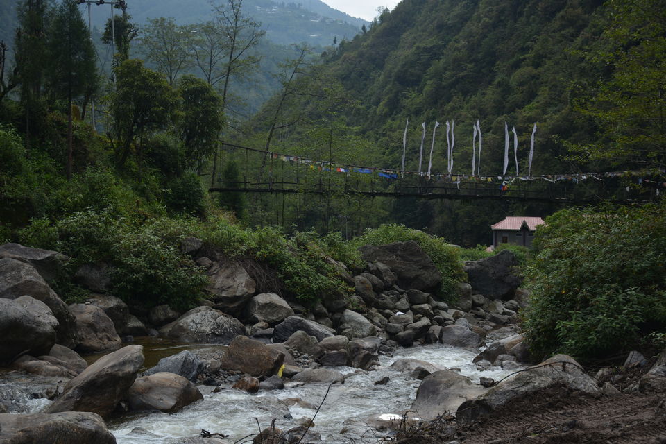 Photo of Sirikhola: Steps to nature 5/8 by Sujan Dey
