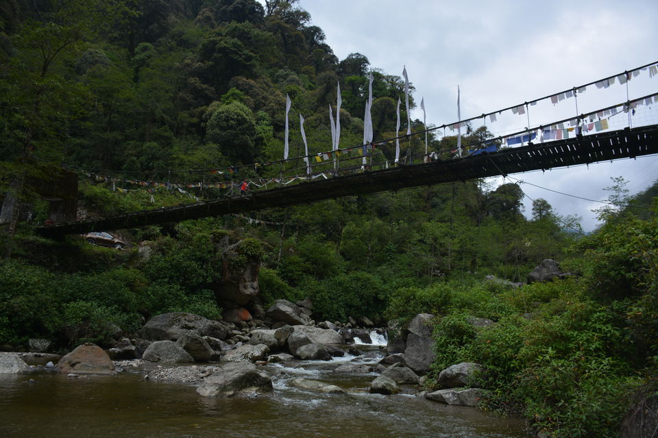 Photo of Sirikhola: Steps to nature 4/8 by Sujan Dey