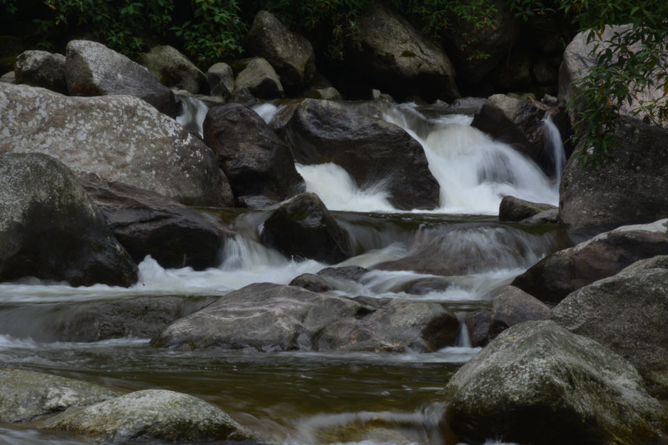 Photo of Sirikhola: Steps to nature 8/8 by Sujan Dey