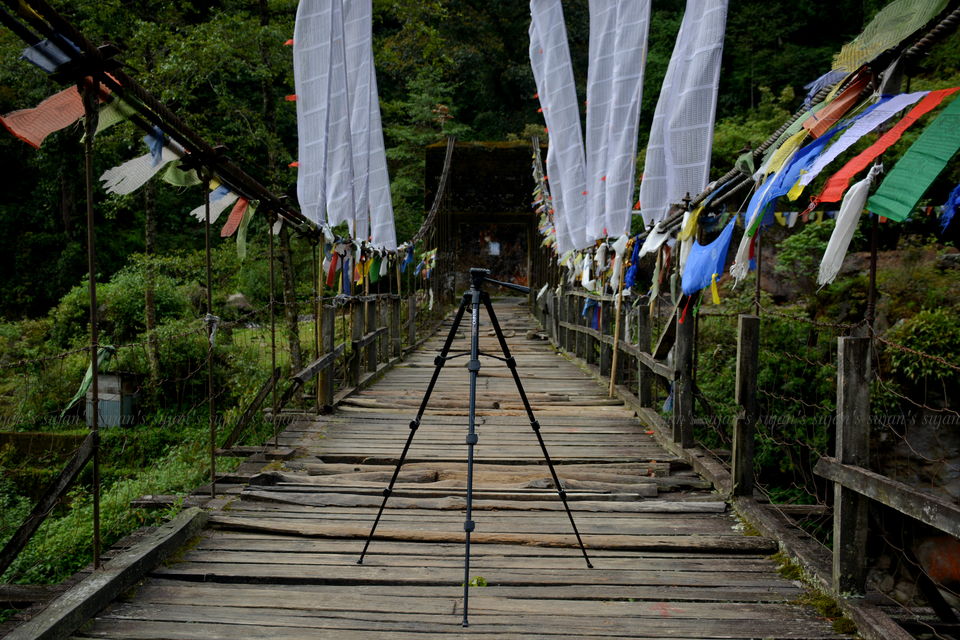Photo of Sirikhola: Steps to nature 1/8 by Sujan Dey