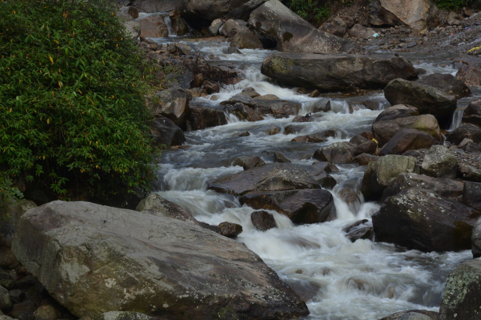 Photo of Sirikhola: Steps to nature 6/8 by Sujan Dey