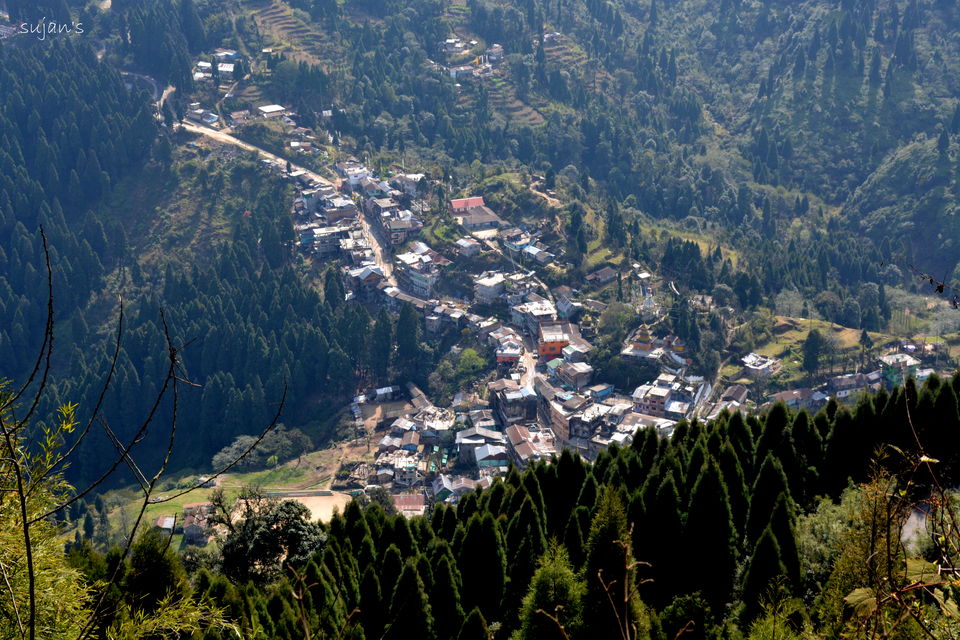 Photo of Trek that changed my Life : Sandakphu & Phalut 3/57 by Sujan Dey