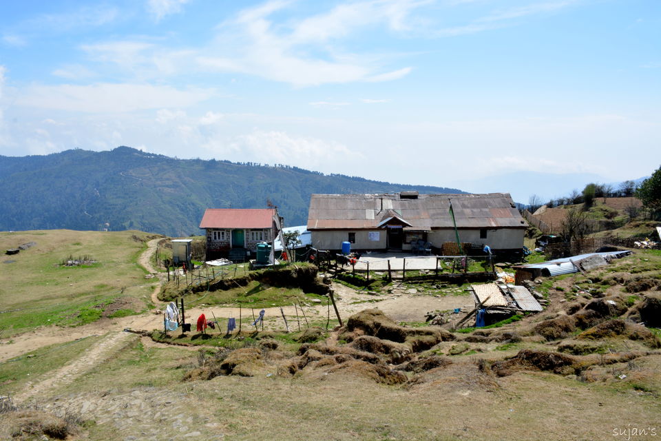Photo of Trek that changed my Life : Sandakphu & Phalut 11/57 by Sujan Dey