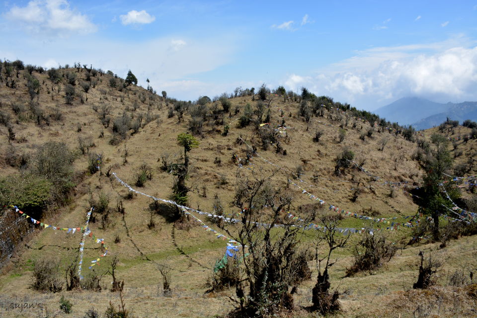 Photo of Trek that changed my Life : Sandakphu & Phalut 12/57 by Sujan Dey