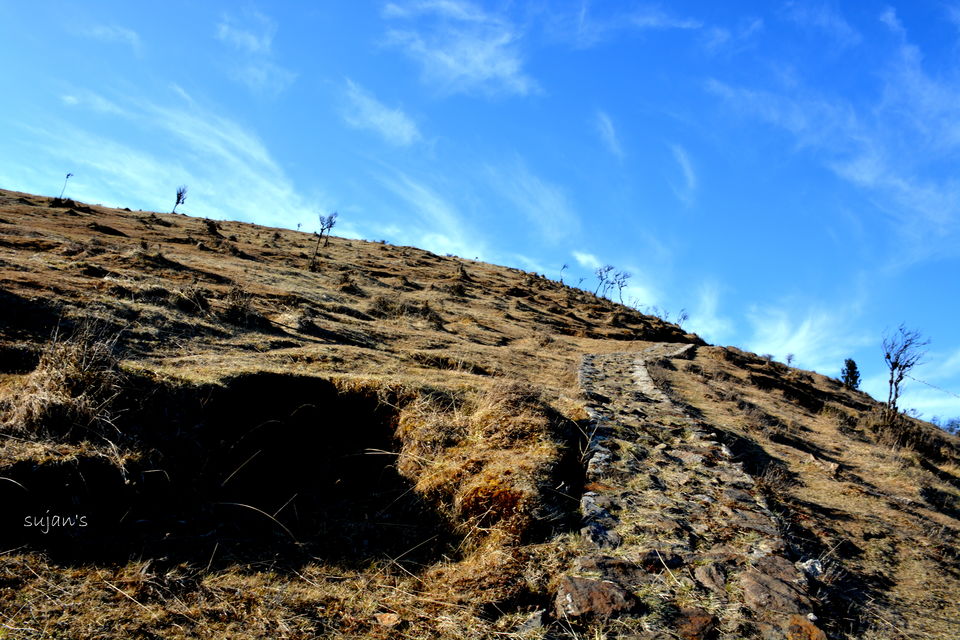 Photo of Trek that changed my Life : Sandakphu & Phalut 18/57 by Sujan Dey