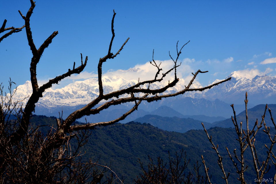 Photo of Trek that changed my Life : Sandakphu & Phalut 29/57 by Sujan Dey