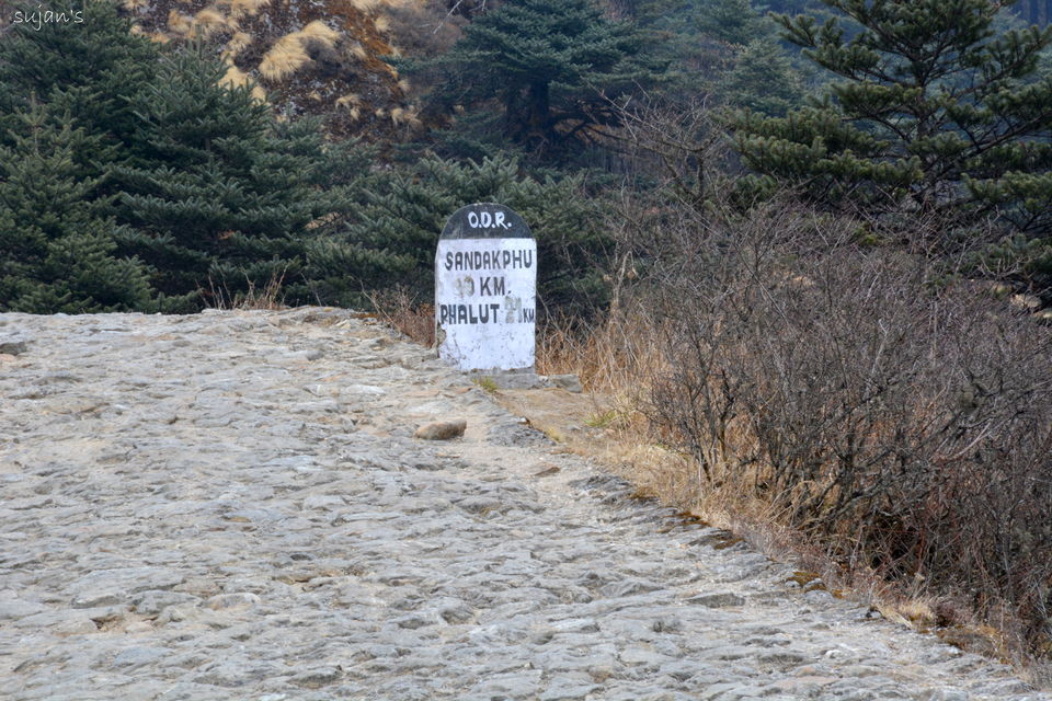 Photo of Trek that changed my Life : Sandakphu & Phalut 35/57 by Sujan Dey