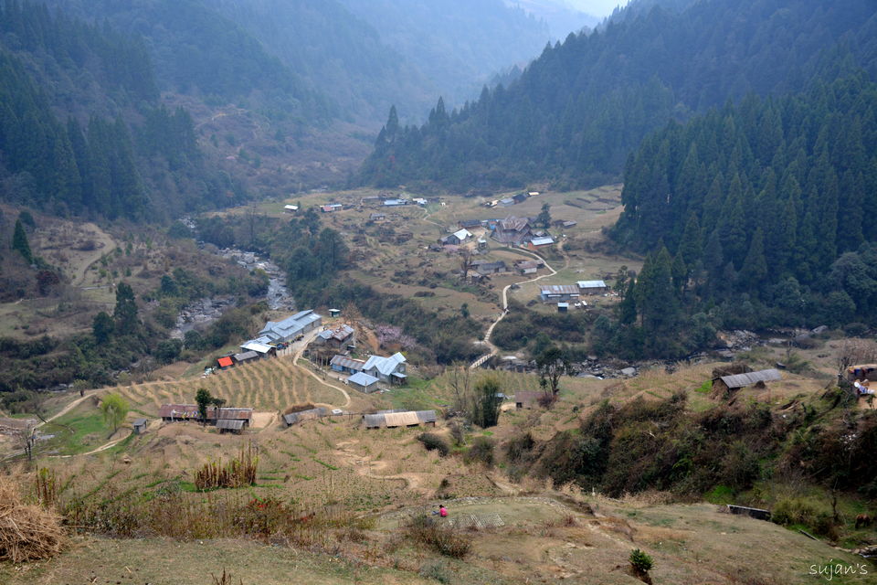 Photo of Trek that changed my Life : Sandakphu & Phalut 50/57 by Sujan Dey