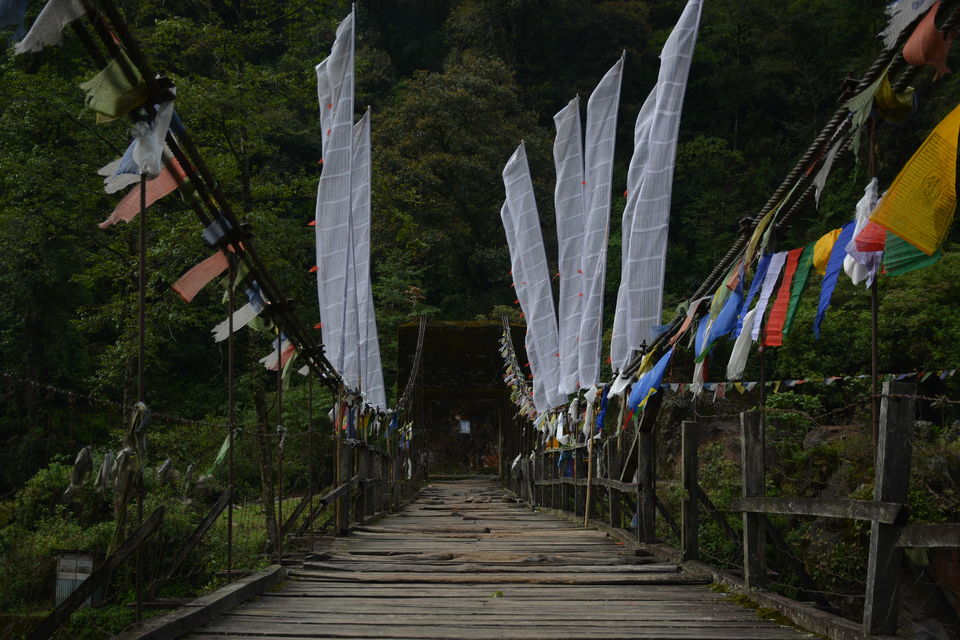 Photo of Trek that changed my Life : Sandakphu & Phalut 57/57 by Sujan Dey