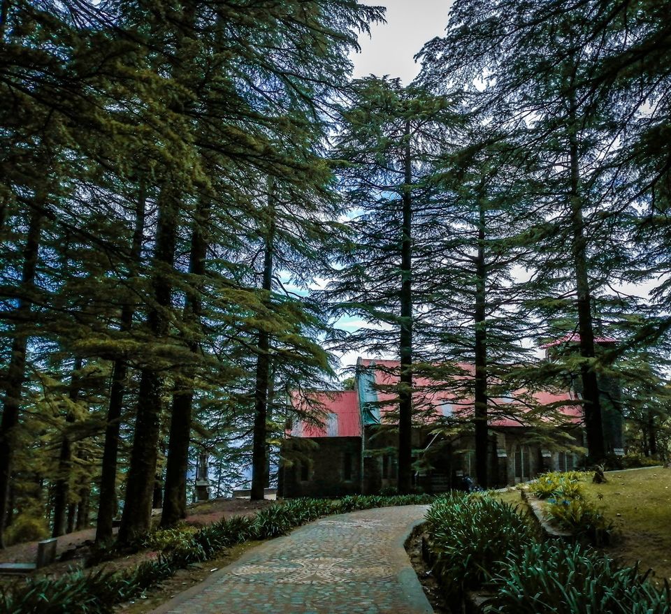 Photo of SOLO & BUDGET TRIP TO TRIUND (INCLUDING MCLEODGANJ)- EVERYTHING YOU NEED TO KNOW 15/20 by Sachin Ghai