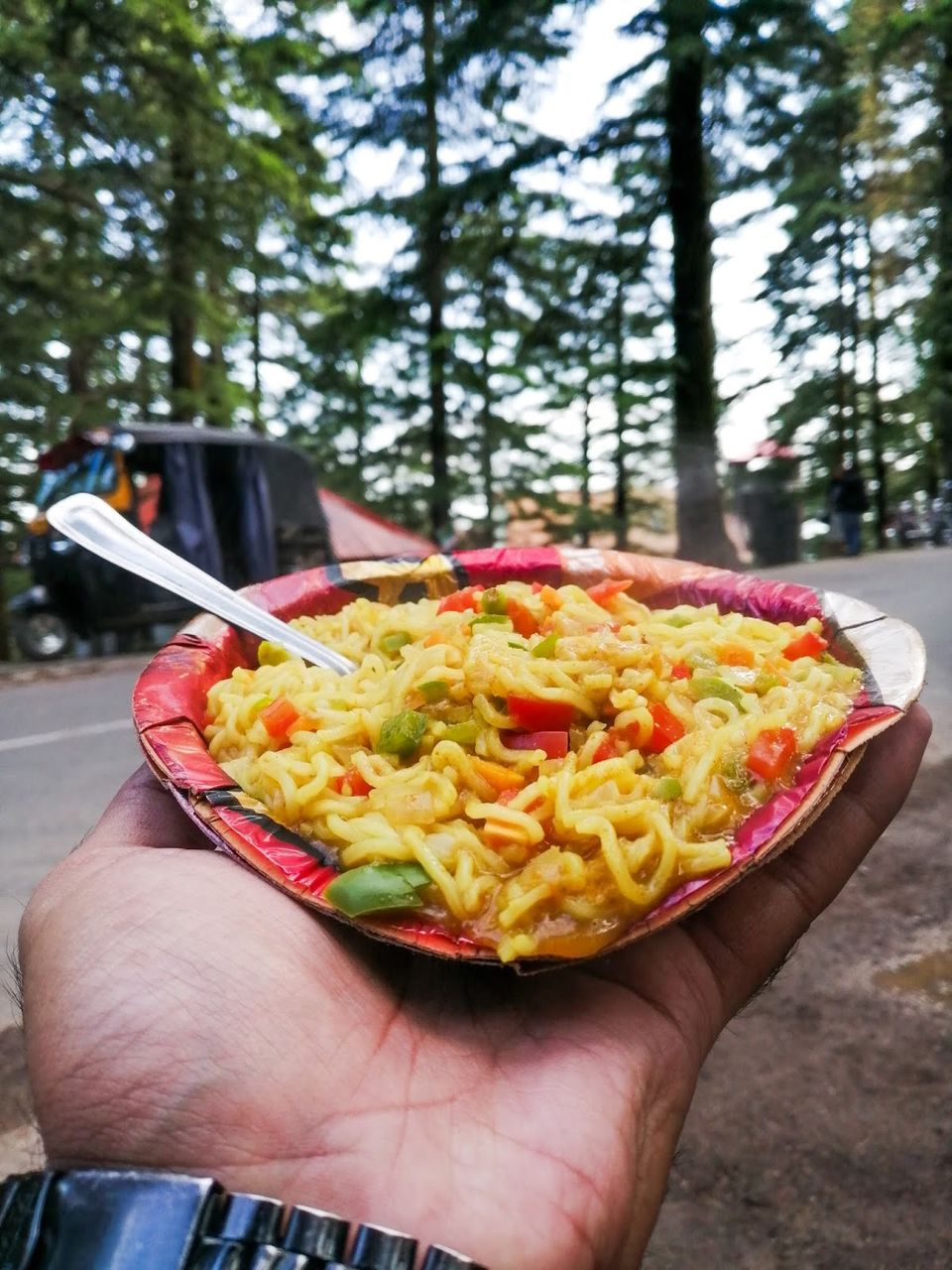Photo of SOLO & BUDGET TRIP TO TRIUND (INCLUDING MCLEODGANJ)- EVERYTHING YOU NEED TO KNOW 16/20 by Sachin Ghai
