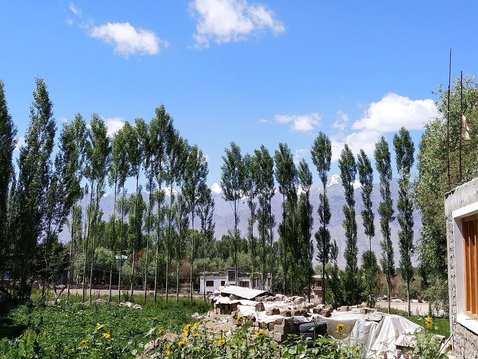 Photo of Tsetan Guest House, Ladakh by Abhra Ghosh