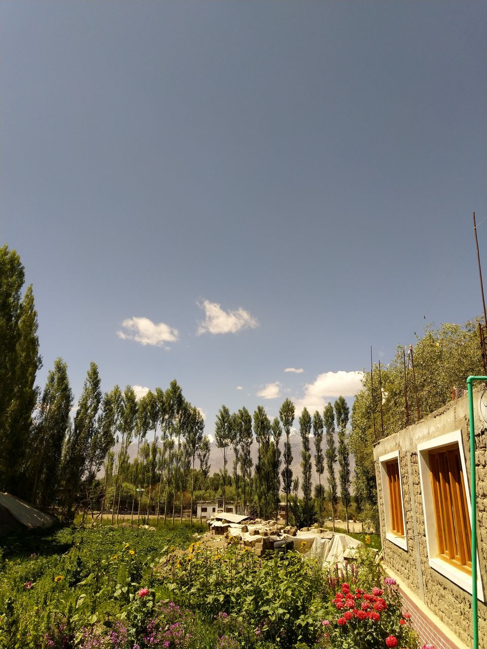 Photo of Tsetan Guest House, Ladakh by Abhra Ghosh