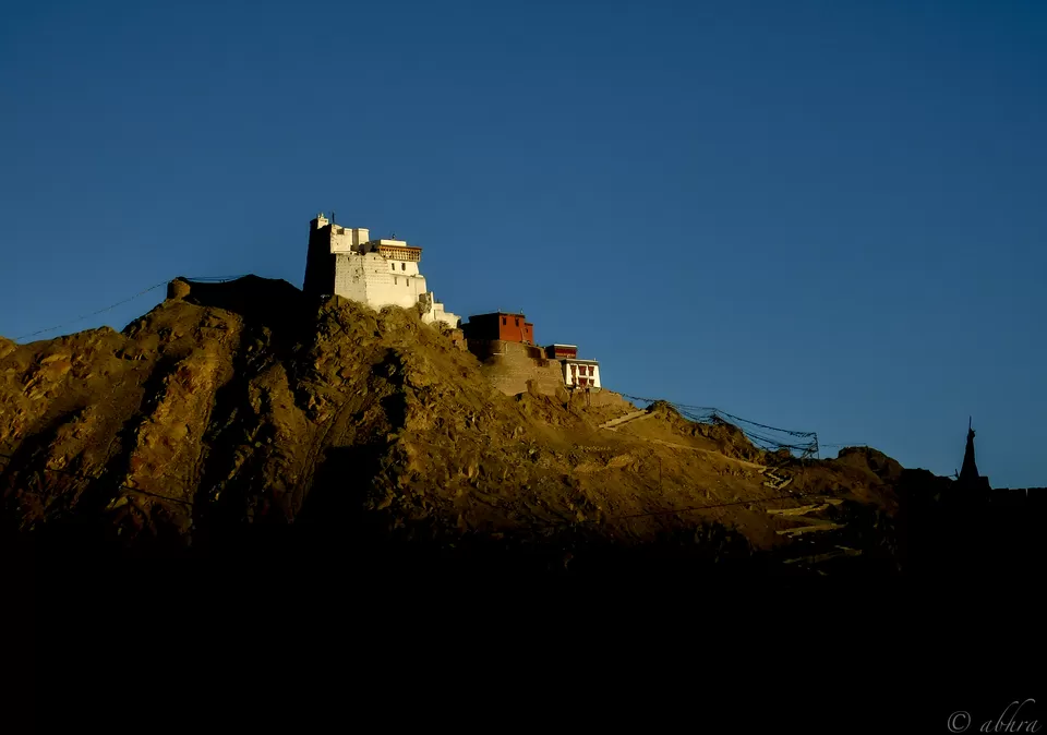 Photo of Leh Palace, Leh by Abhra Ghosh