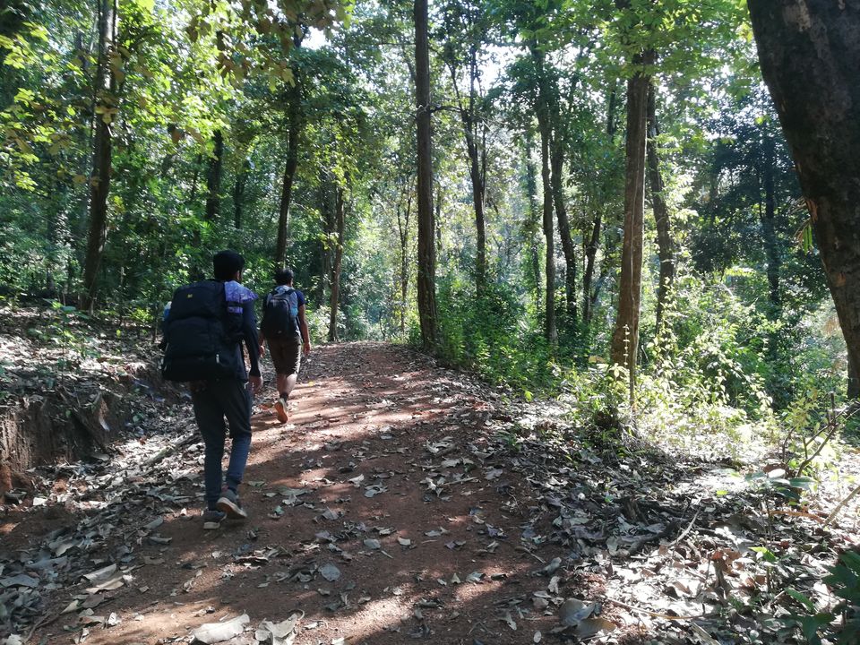 Photo of Arasina gundi Falls, Sampalli, Karnataka, India by Vihang Ghalsasi