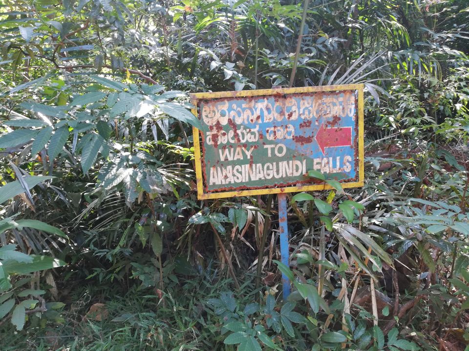 Photo of Kodachadri and Arishina Gundi by Vihang Ghalsasi