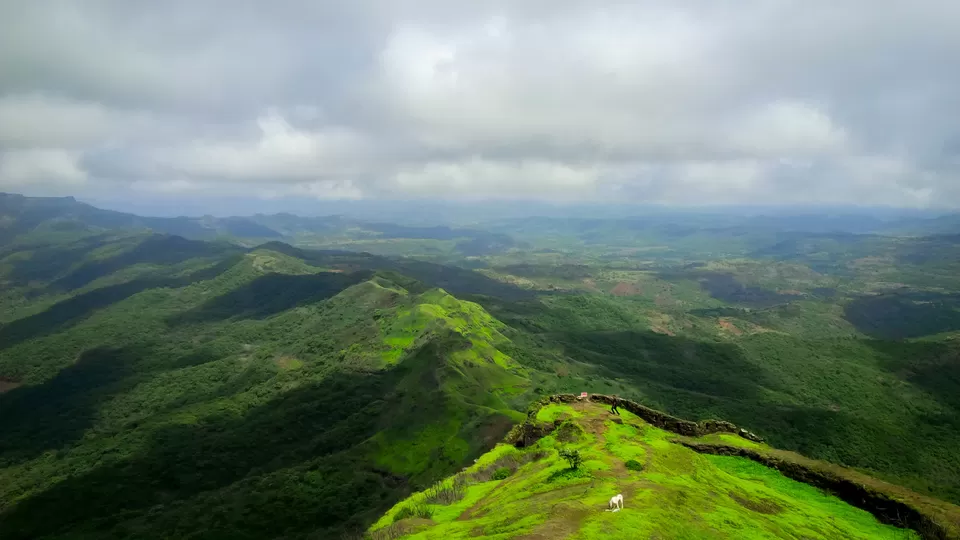 Photo of Torna Fort, Charhat Wadi, Maharashtra by Vihang Ghalsasi